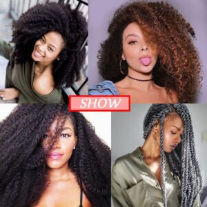 Afro Marley braids