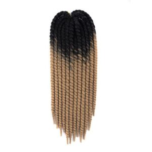 Havana mombo twist braids
